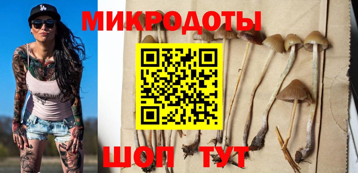 Галлюциногенные грибы Cubensis  Псилоцибиновые грибы мухоморы  Миллерово  Вход с VPN 